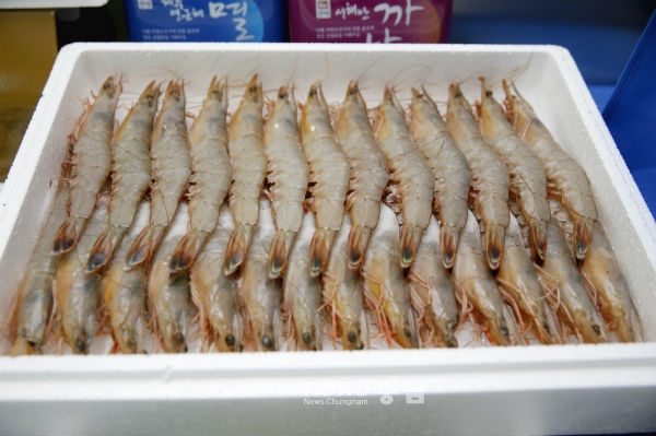 태안군 특산물 대하 꽃게 등 추석 선물로 인기!